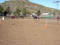 videos de Dan Byrd and Bob Ostrenga's Mounted Shooting Horse
