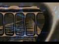 KayEmX :: Time Is Running On Empty :: Silent Productions