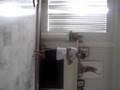 darsh dance