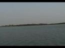 sundarban