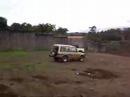 Landy brinca