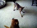 Cocoa & Wickett
