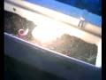 videos de The Story of a Sad Yellow Ball