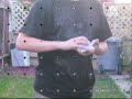 V1 V1