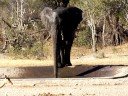 drinkende olifant deel2