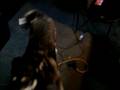 videos de Stir Crazy Lily