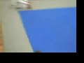 fabio santos open blue belt open division