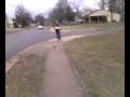 Dead squirrel