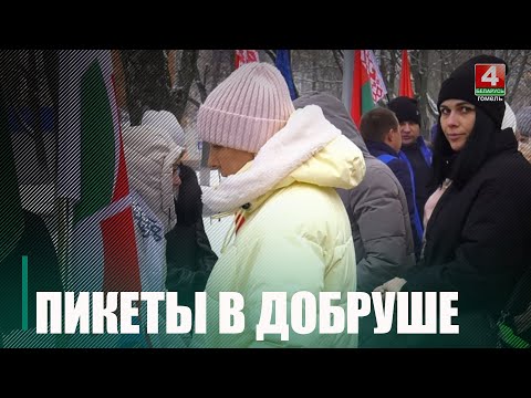 Пикеты сбора подписей претендентов в кандидаты в президенты продолжаются на Гомельщине видео
