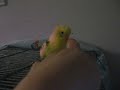 George E loves my Hand tonight
