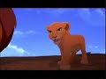 lion king - simba life