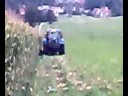 corn harvest slovenia 3 corn harvest slovenia 3