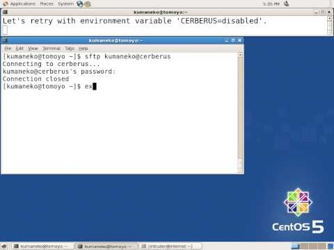 Anti SSH brute force attacks using TOMOYO Linux