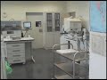 D�a Internacional del donante de sangre