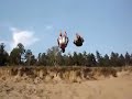 Le Parkour & Acro Compilation