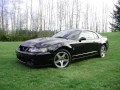 mustang cobra compilation and tribute mustang cobra compilation and tribute