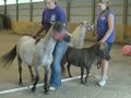 this is a little musical routine that me, arielle, and lara worked up to present to a group of kids from a christian camp that came to the farm.