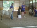 this is a little musical routine that me, arielle, and lara worked up to present to a group of kids from a christian camp that came to the farm.
