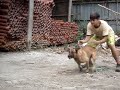 MANALO K9'S MANALO K9'S