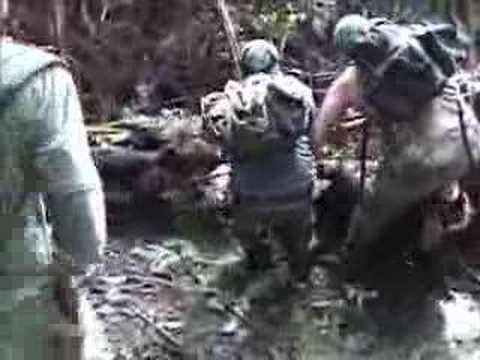 Knife Wild boar hunting in Hawaii with dogs Knife Wild boar hunting in Hawaii with dogs