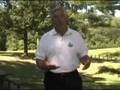 MN: Labor '08
