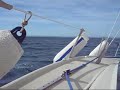 Un petit tour en voilier ? Un petit tour en voilier ?