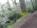 Buell Ulysses On Single Track #2