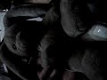 conejo pajero porno xxx