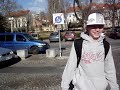 slovenian horseasses (MARIBOR)
