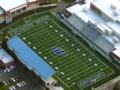 Professional Turf Solutions: The Experts in the Field