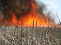 a 2nd clip of an out of control brush fire 
