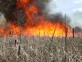 a 2nd clip of an out of control brush fire 