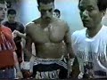 K-1 Champion Andy Hug - his short and brilliant career as a kick-boxer