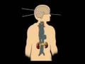 videos de Teenage Mind