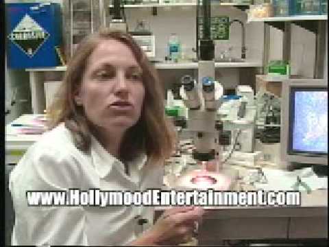 abduction - www.youtube.com/slowdive626 please subscribe to my youtube channel for more free documentaries and productions and other various productions... slowdive626@a...