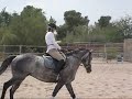 Carmen dressage lesson 2