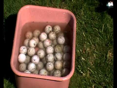 how to whiten used golf balls