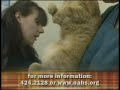 Happy Tails - Animal Surrender/ Check-In Pt 3