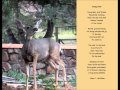 Nature through Poetry 2013 calendar-Young Deer trailer