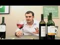 Chilean Cabernet Sauvignon, Any Opportunities? - ...