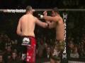 Minotauro - ThJoker PART 2