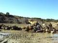 Lincolnshire Airsoft Club