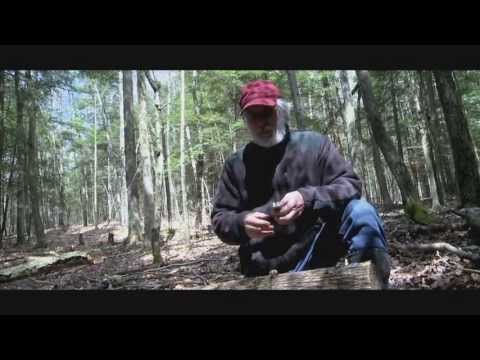 how to harvest mushrooms