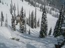 Fernie Frolicks 2.  2007