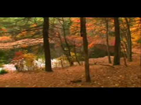 Doc - Walden: The Ballad Of Thoreau