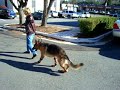 mickie davies braces (www.animalorthocare.com)