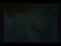 Plesioth Ecology