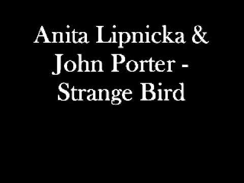 Tekst piosenki Anita Lipnicka & John Porter - Strange Bird po polsku