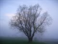 silent lucidity   queensryche