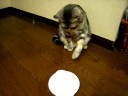 ★グーグーくららの同情するなら~餌をくれ!